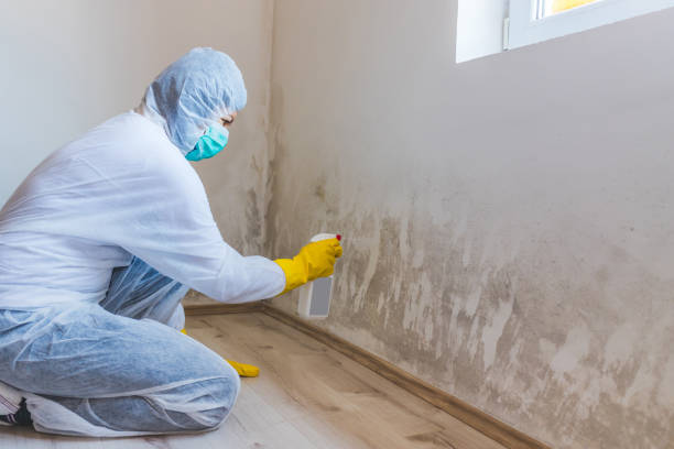Crawl Space Mold Remediation treatment of floor joists in Washougal